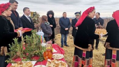 Празник на лозата и виното