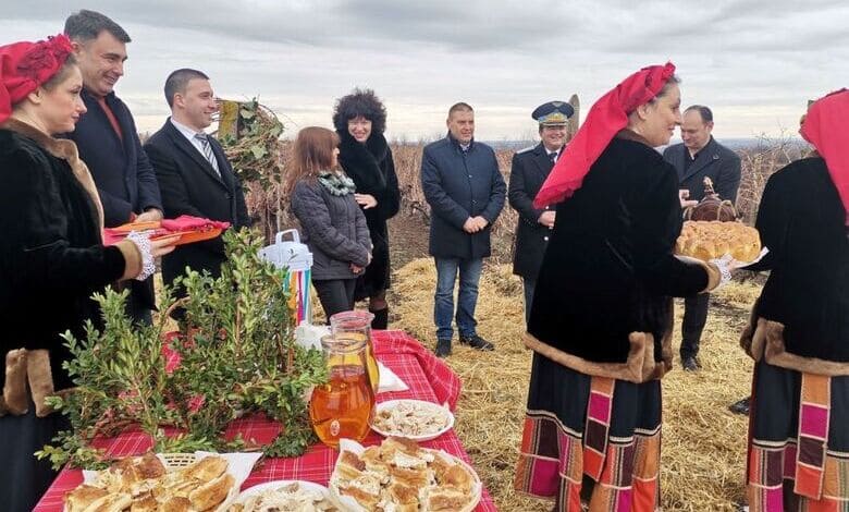 Празник на лозата и виното